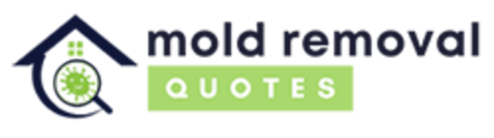 mold remediation longview wa